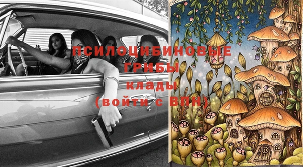 Альфа ПВП Надым