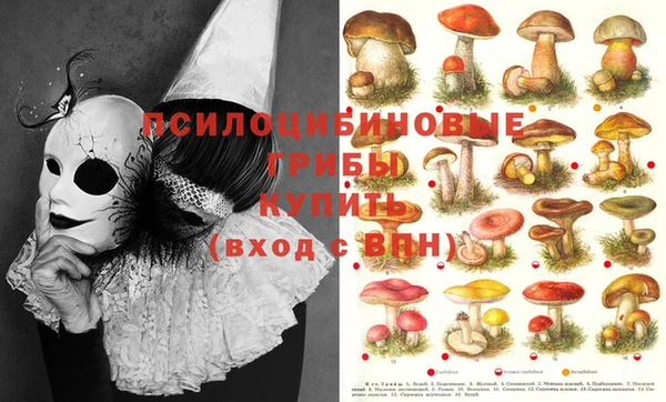 не бодяженный Наволоки