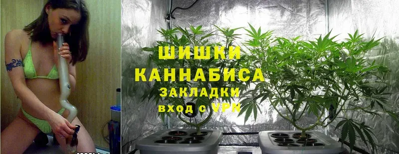 Конопля White Widow  сколько стоит  Щёкино 